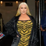 Christina Aguilera’s Micro-Miniskirt Looks Like a Blingy Birkin Bag