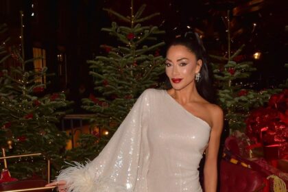 Nicole Scherzinger puts on daring display in sheer chainmail mini dress